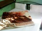 Hotel A-Von - Photo3