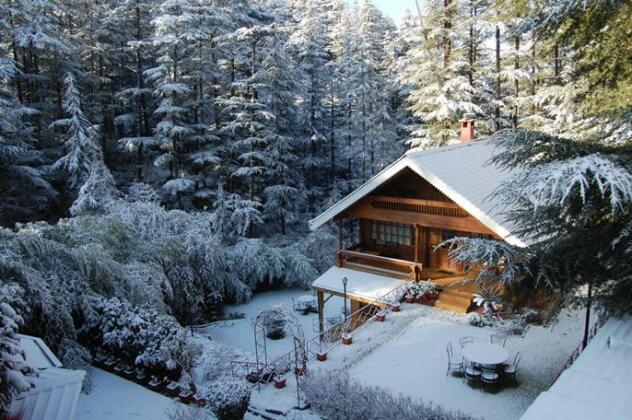 Chalets Naldehra - Photo3
