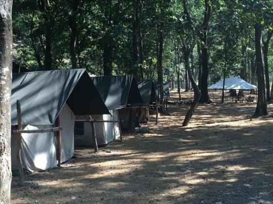 Paradise Camp Adventure - Photo3