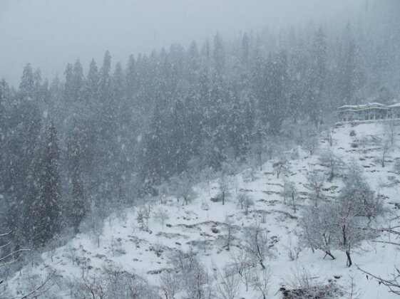 Pines and Peaks Hotel - Photo4