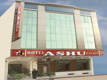 OYO 8505 Hotel Ashu Palace