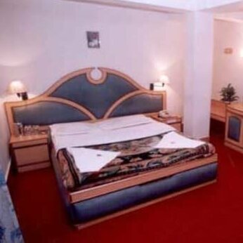 Hotel Maneck - Photo4
