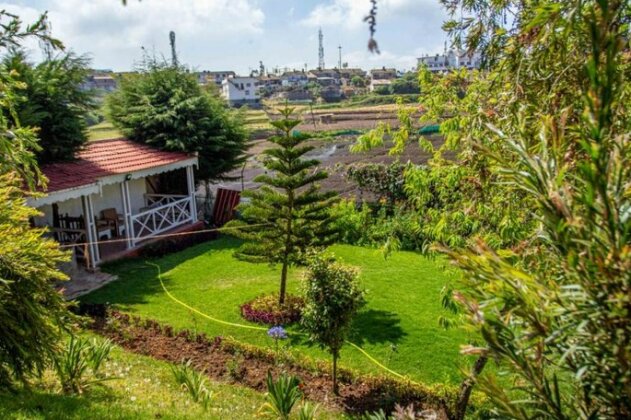 Pine View Ooty - Photo4