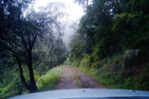 Secret Valley Jungle Resort - Photo5