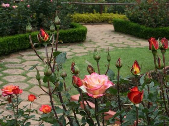 Venus Residency Ooty - Photo3