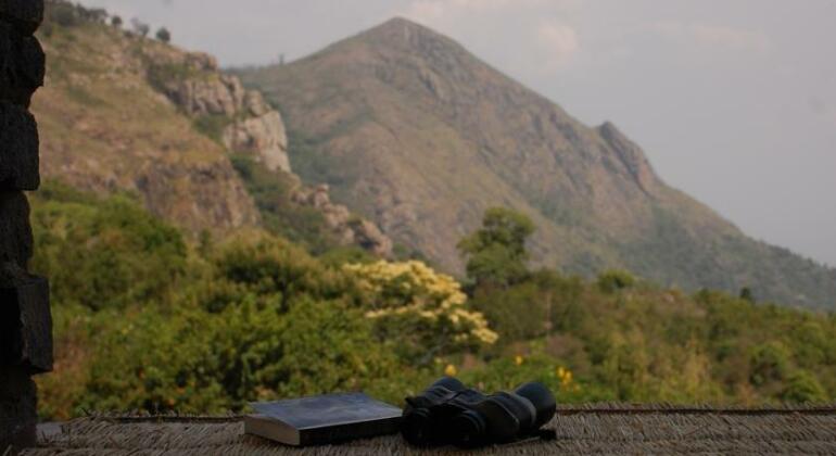 Wild Walkers Ooty - Photo3