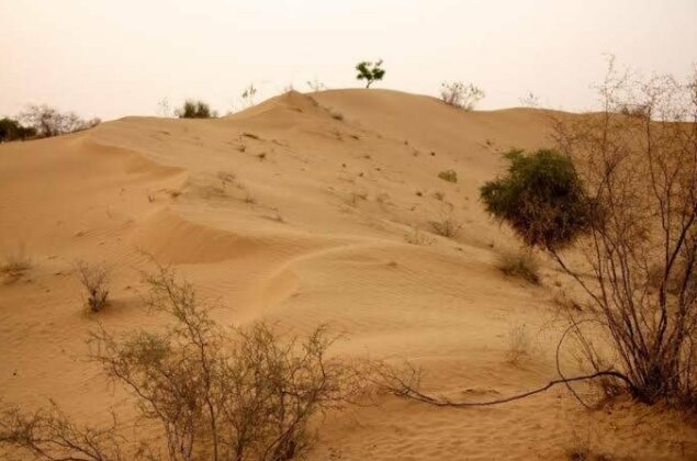 Rajasthan Desert Holidays - Photo3