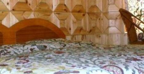 Golden Palace Pahalgam - Photo2