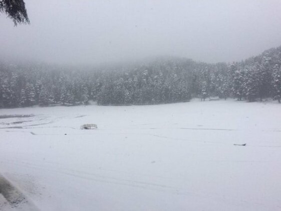 Hotel island pahalgam Pahalgam - Photo5
