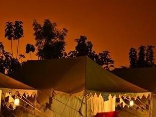 Nature Camps Resort - Photo4