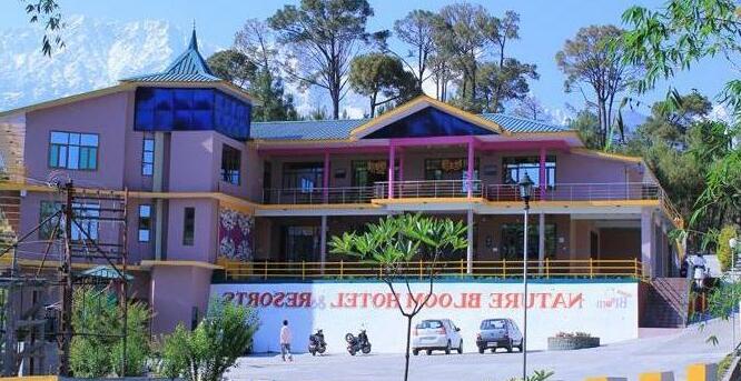Nature Bloom Hotel and Resort - Photo4