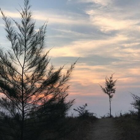 Ocean Wave Palghar - Photo2