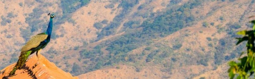Kamat Riviera - Photo3