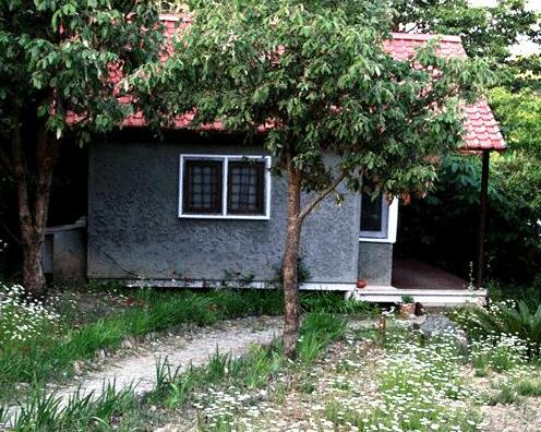 Jungle Lore Birding Lodge - Photo2