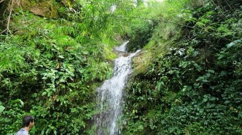 Phamlagang EcoLodge