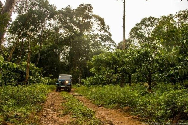 Camping In Remote Coorg - Photo4