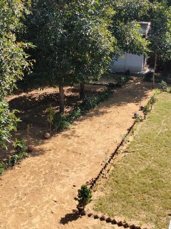 Dhira resort - Photo3