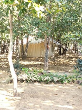 Dhira resort - Photo4