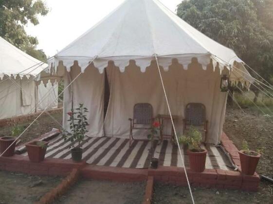 Savitri Resort Pushkar - Photo4
