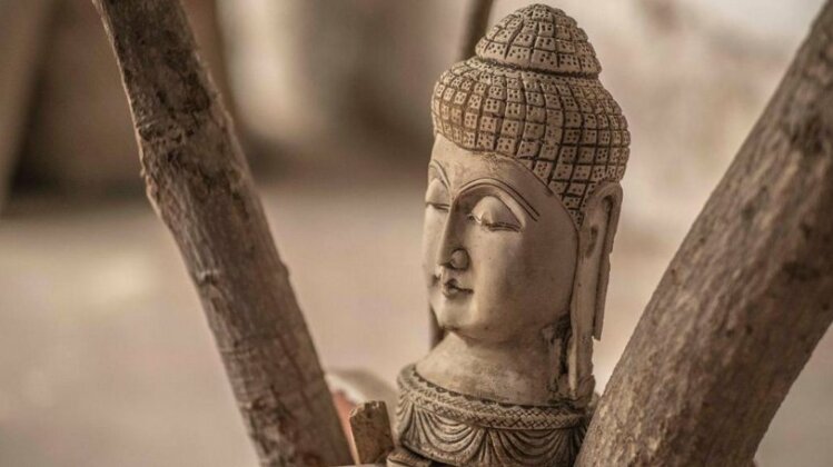 Silent Meditation Retreat - Photo2