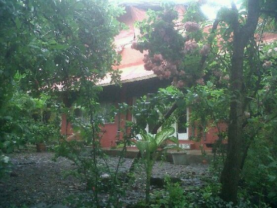 Homestay - naturelovers hideaway - Photo2