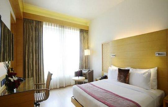 Sayaji Raipur - Photo3