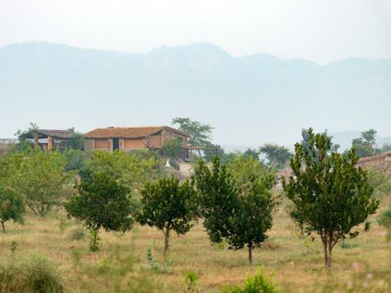 Utsav Camp Sariska - Photo3