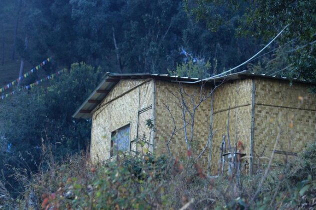 Himalayan Rudraksh