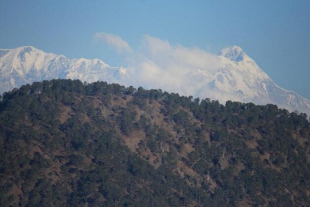 Himalayan Rudraksh - Photo2