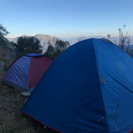 Himalayan Rudraksh - Photo3
