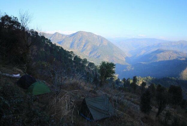 Himalayan Rudraksh - Photo4