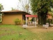 Ashokas Tiger Trail - Photo2