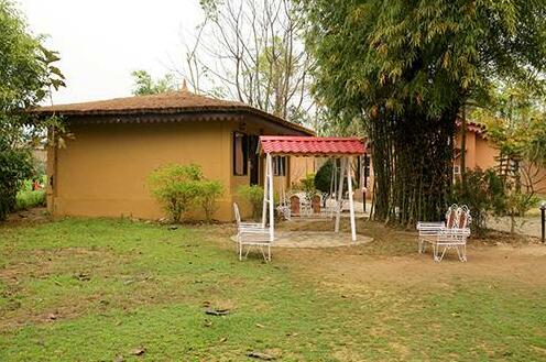 Ashokas Tiger Trail - Photo3