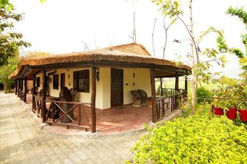 Ashokas Tiger Trail - Photo5