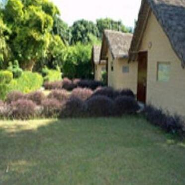 Wild Trail Village Retreat - Photo2