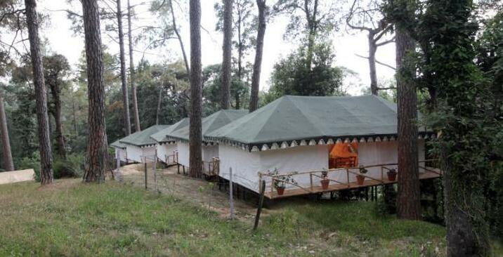 Camp Bliss - Photo4