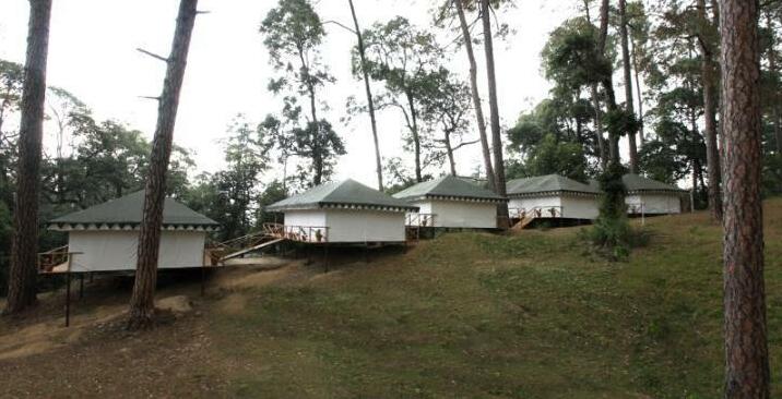 Camp Bliss - Photo5