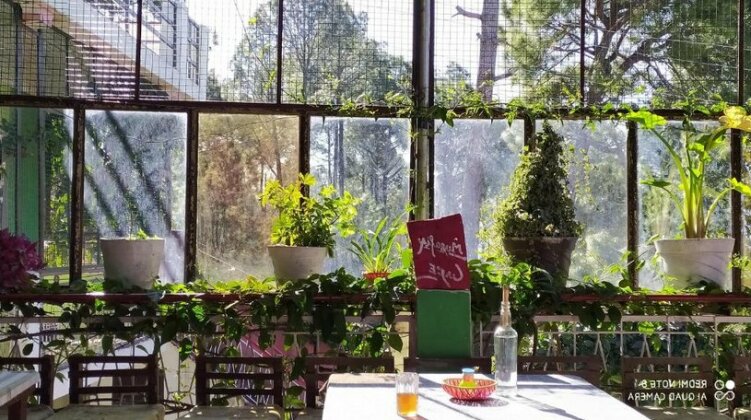Elation Guest House & Musafir cafe - Photo3