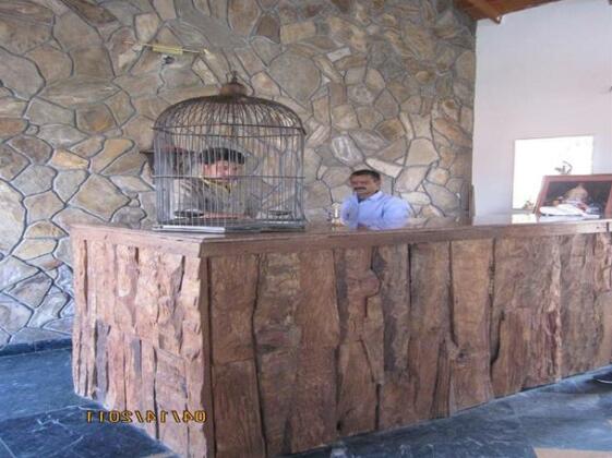 Woodsvilla Resort - Photo4