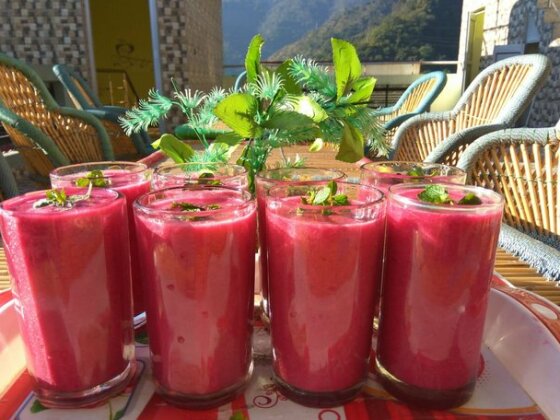 Hotel Laxman Jhula Regency - Photo5