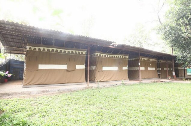 Sajan Nature Club A Nature Trails Resort - Photo4
