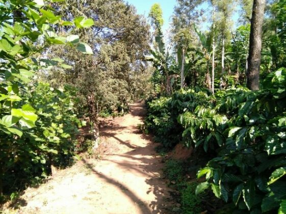 Homestay - Aroma Homestay Sakleshpur - Photo2