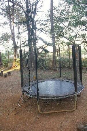 The Jungle Resort Amba - Photo5