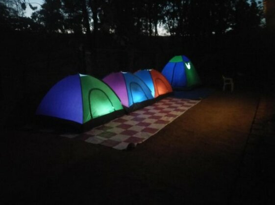 Whispering Woods Resort Amba - Photo5