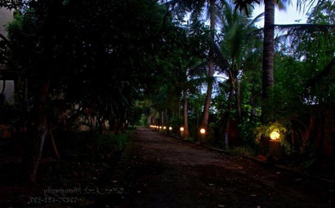 Gir Birding Lodge - Photo4