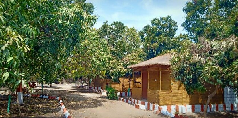 Gir Van Farm - Photo4