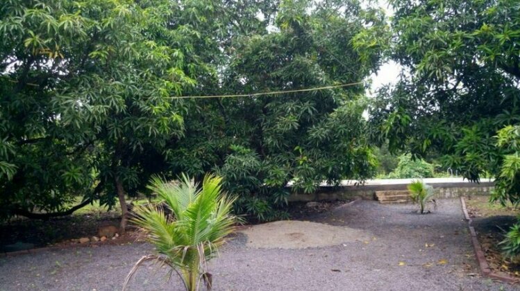 Khodal Farm - Photo2