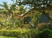 Lion Safari Camp Junagadh