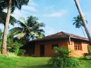 Nandan Farm Homestay - Photo2