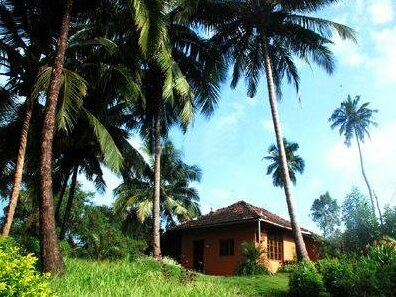Nandan Farm Homestay - Photo3